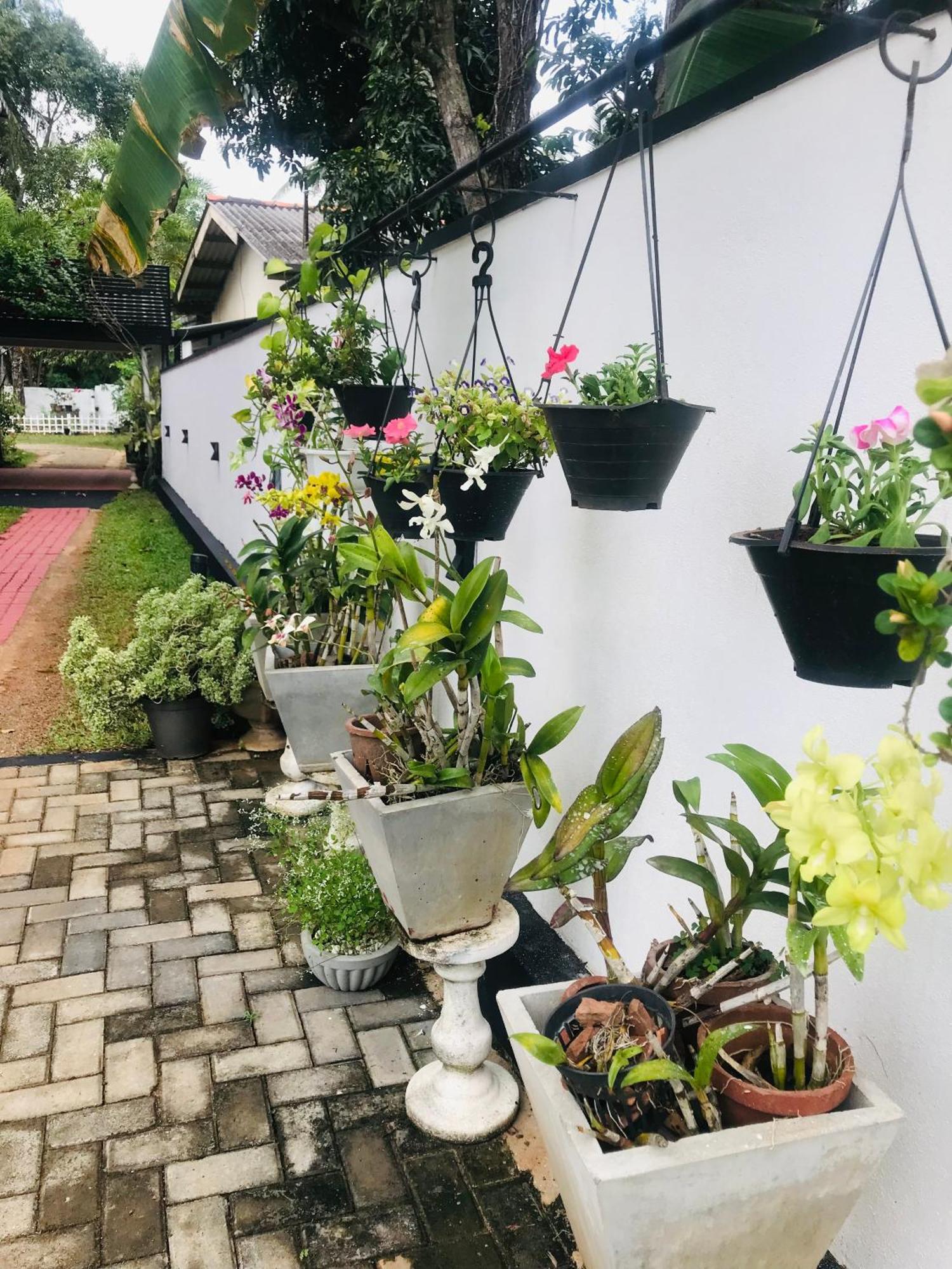 Pinidiya Resort Anuradhapura Esterno foto